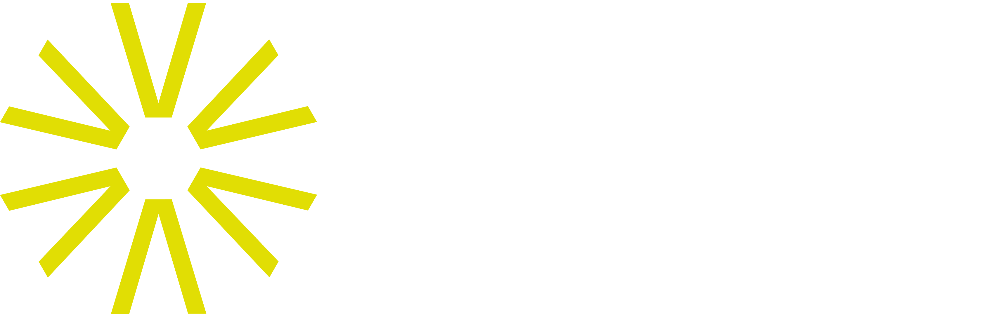 Schnetzer Laser Solution Logo
